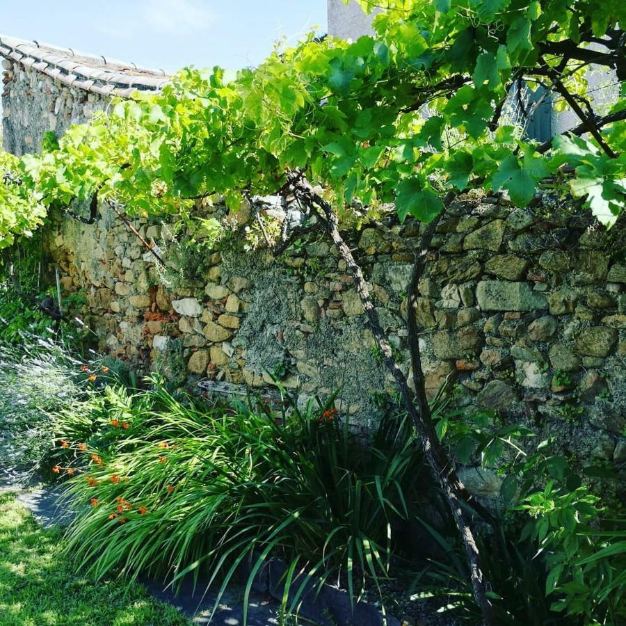 Gite Maison De L'Abbe Sorèze المظهر الخارجي الصورة